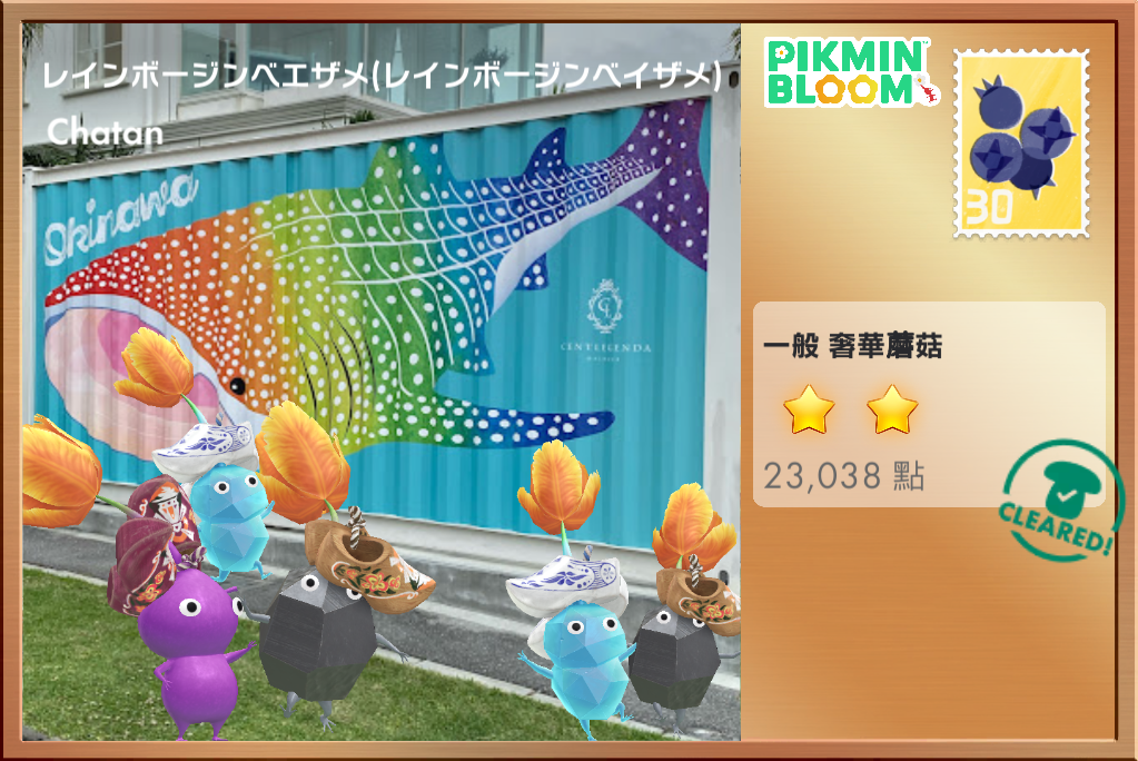 レインボージンベエザメ(レインボージンベイザメ)
