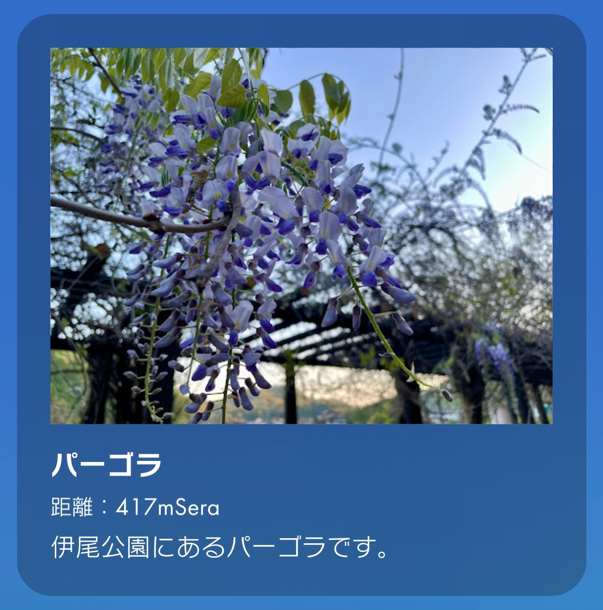 パーゴラ