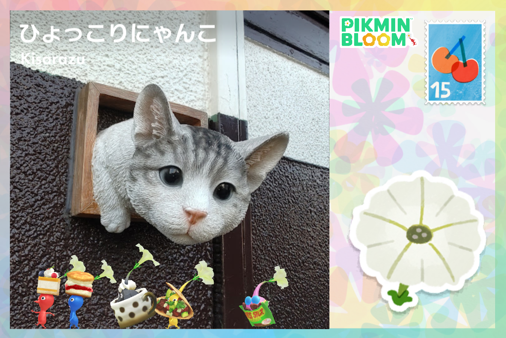 ひょっこりにゃんこ