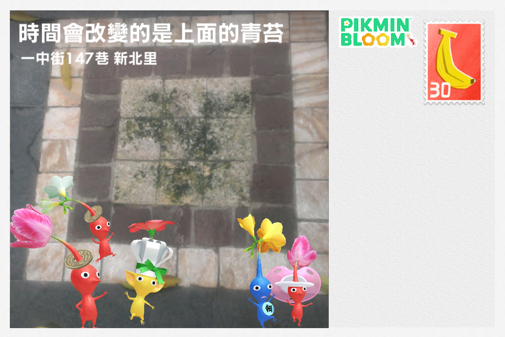 時間會改變的是上面的青苔