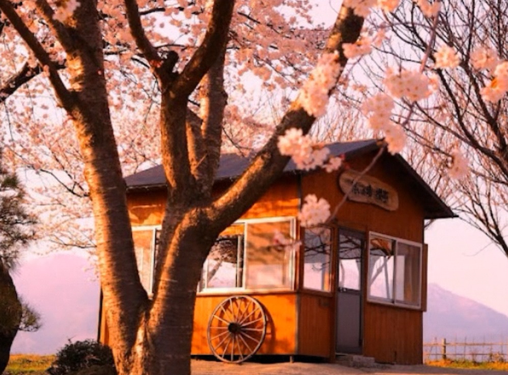 憩いの場櫻亭