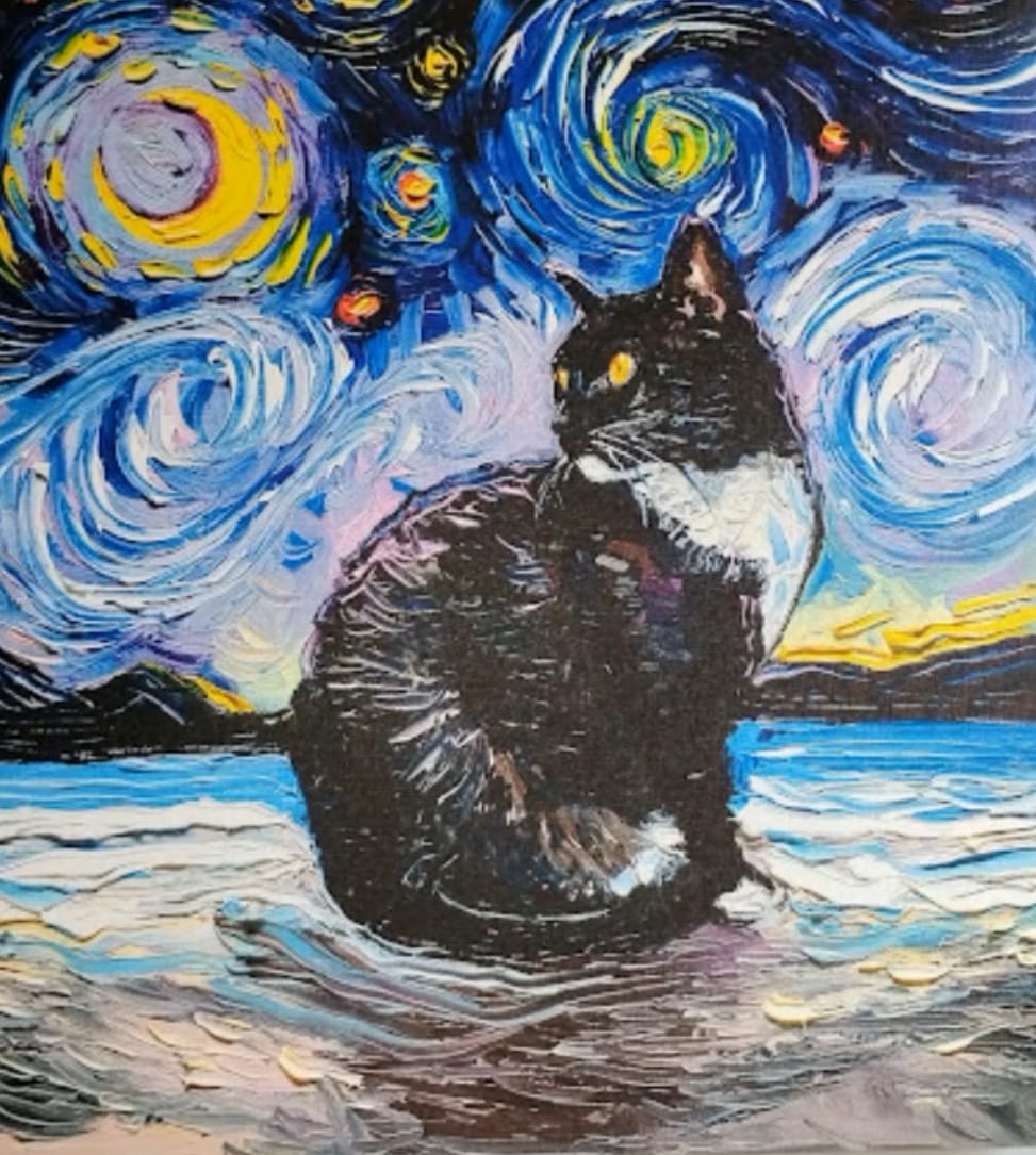 A Cat Starry Night