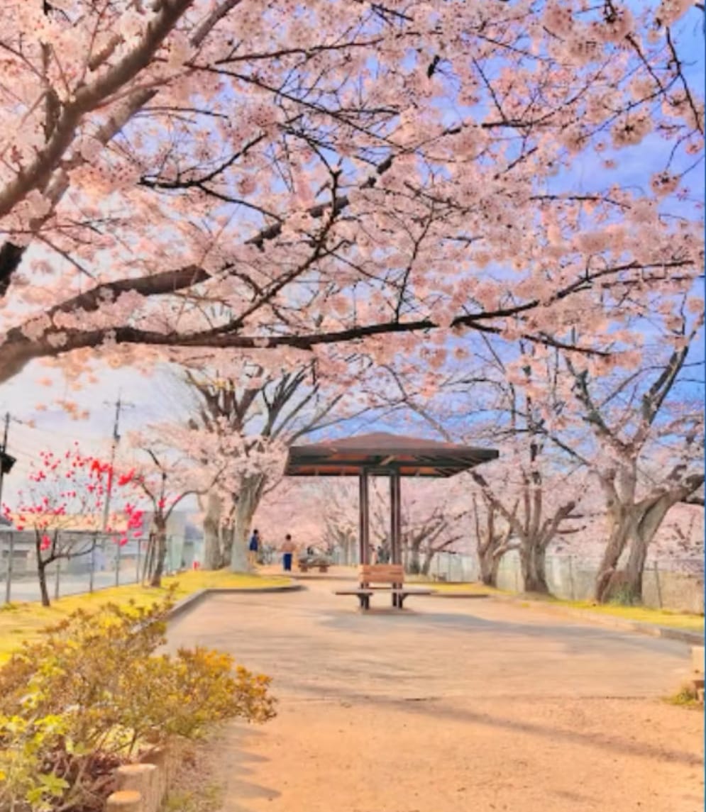 腕公園の東屋