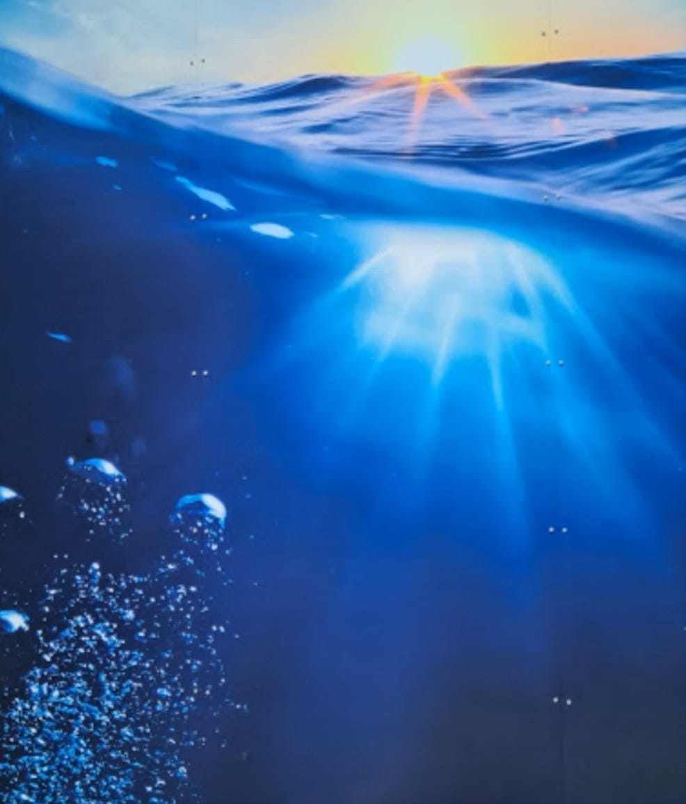 Ocean Mural
