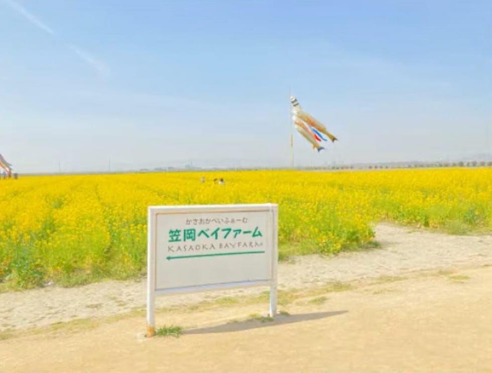 笠岡ベイファーム