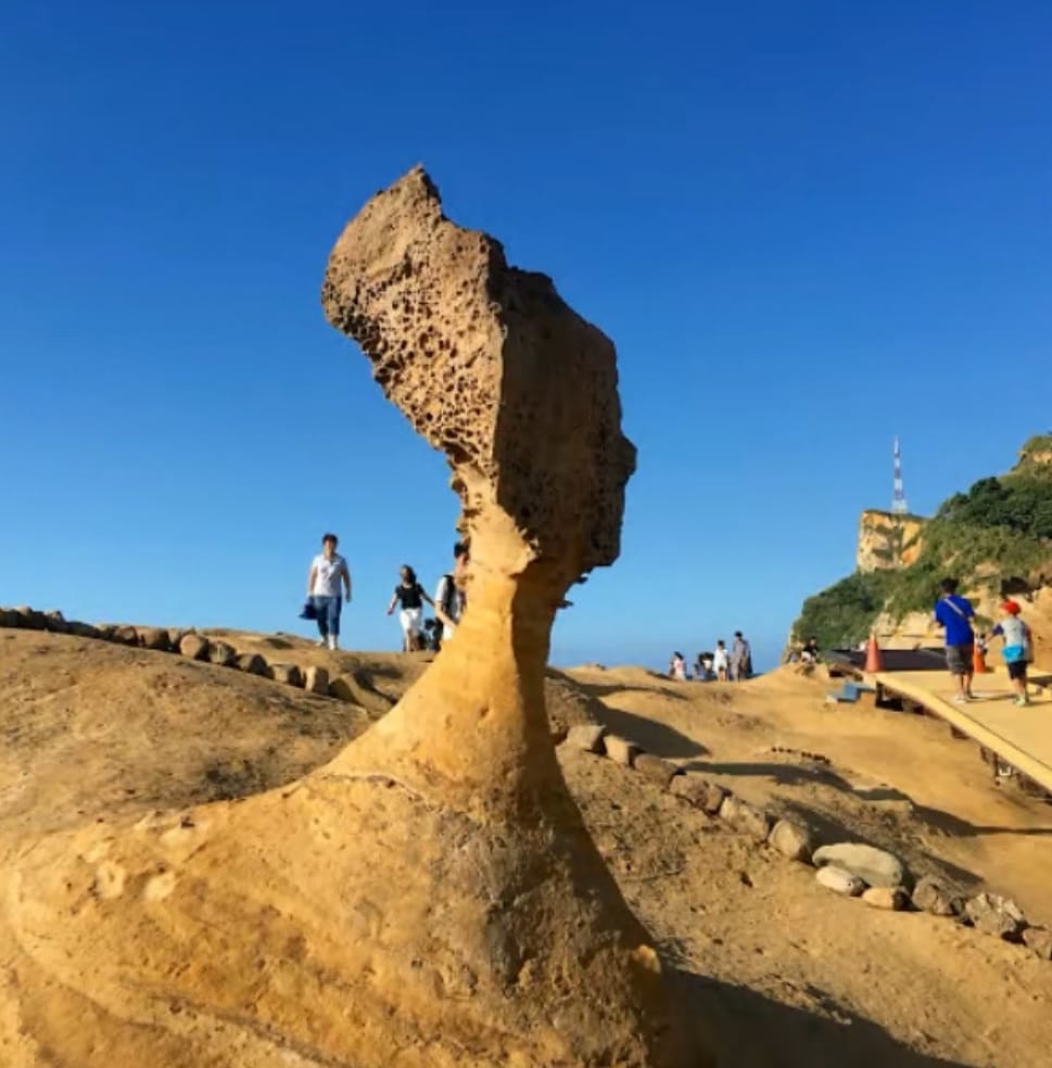女王頭