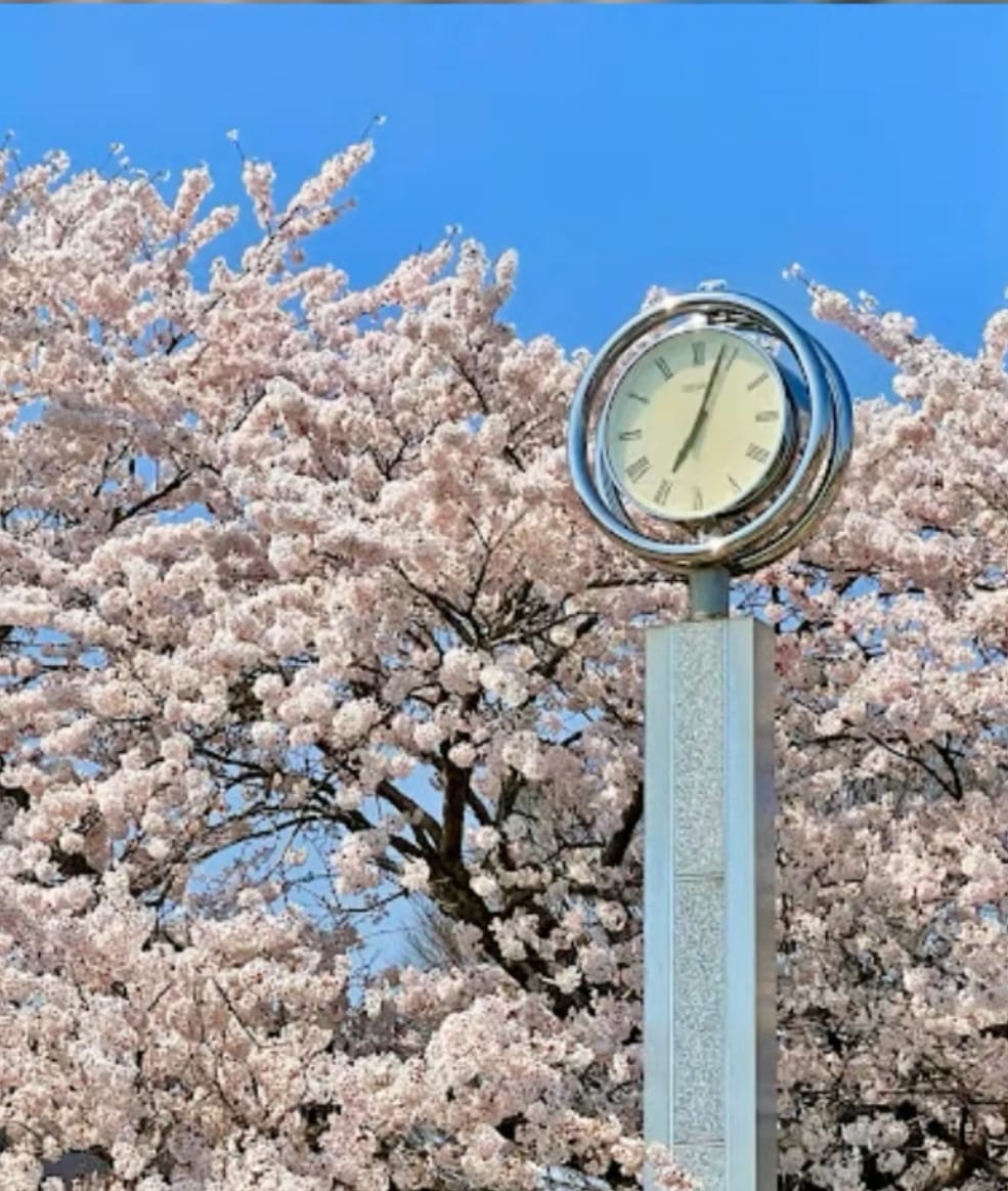 Monument clock