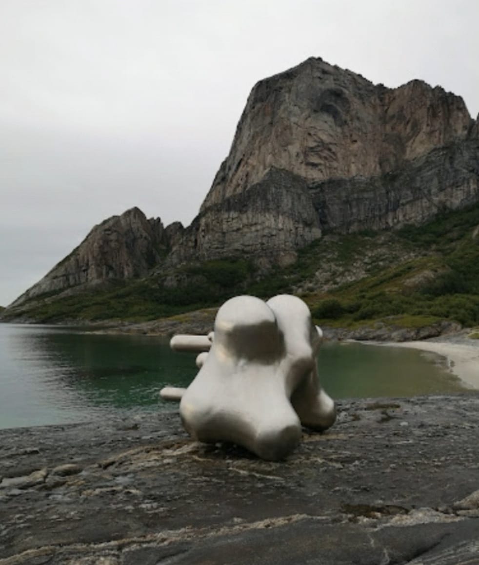 Stålbobla ved Storsand Rødøy