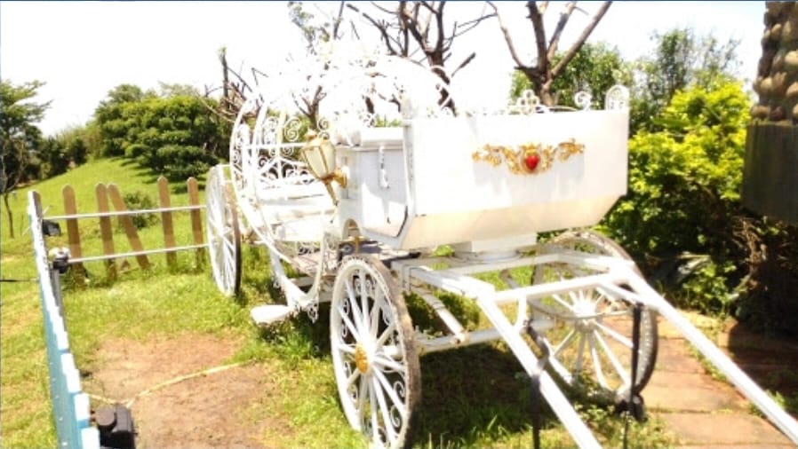 南瓜跑車