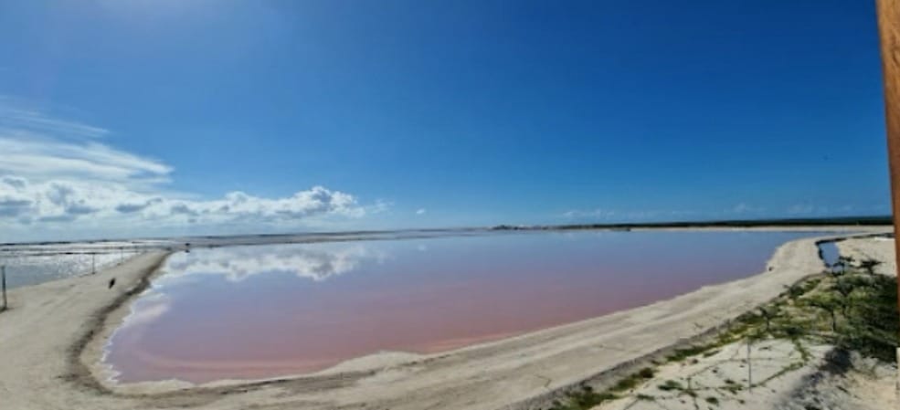 Aguas rosas