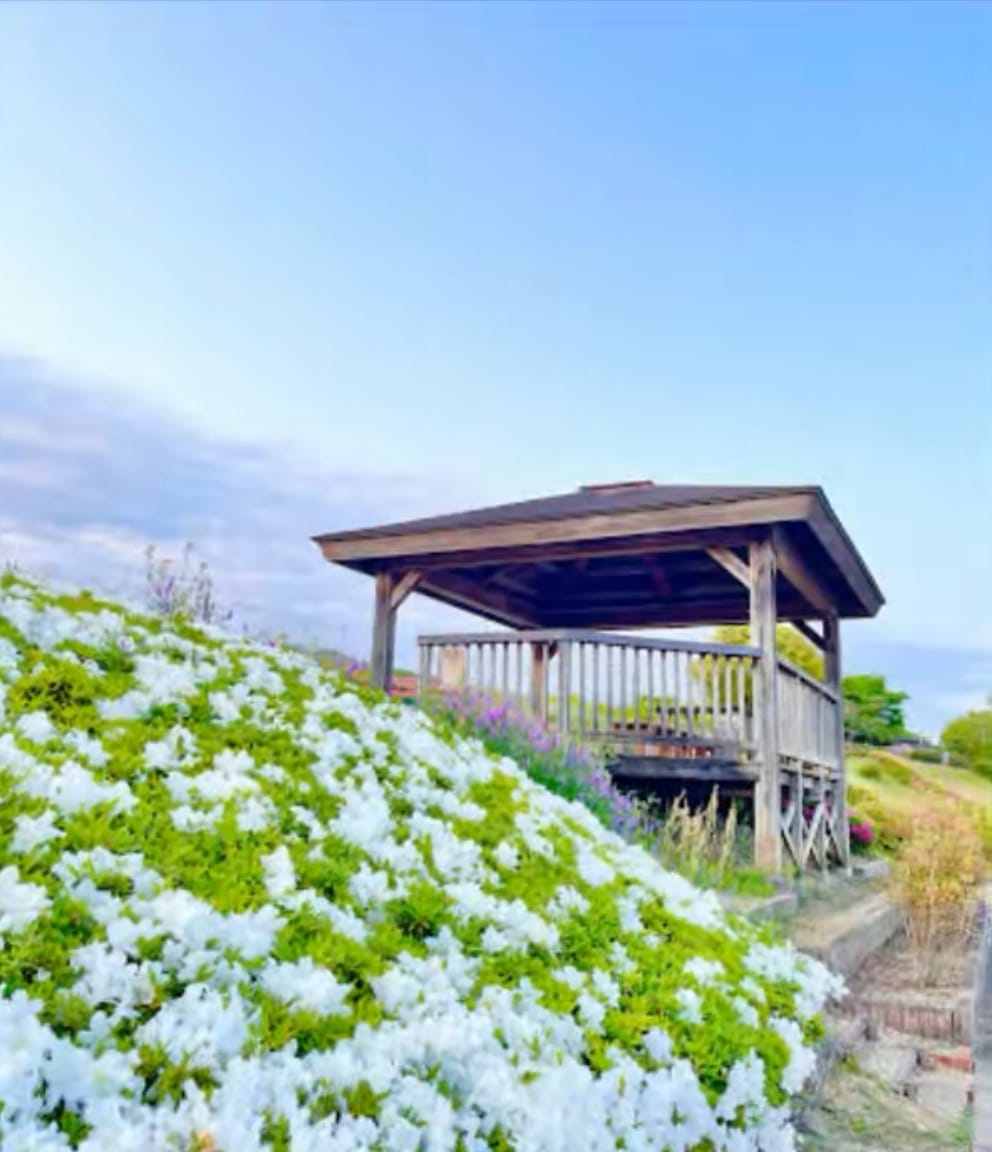上野公園 東屋池の畔