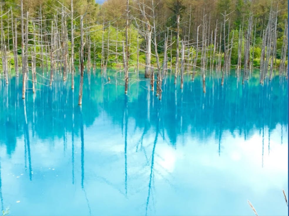 青い池