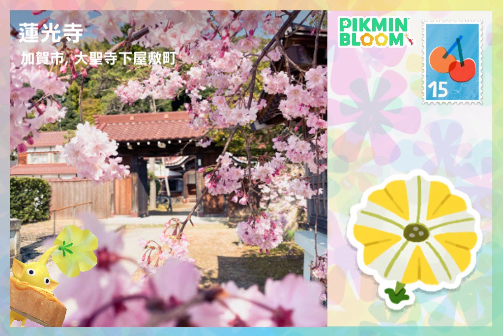 蓮光寺
