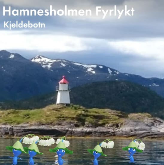 Hamnesholmen Fyrlykt