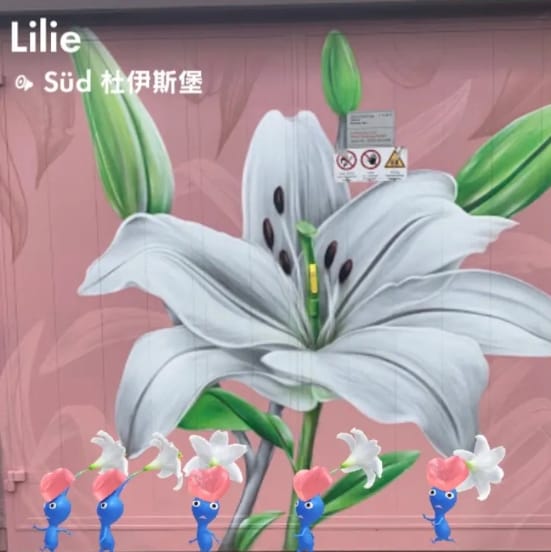 Lilie