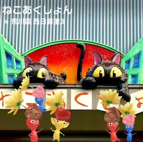 ねこあくしょん
