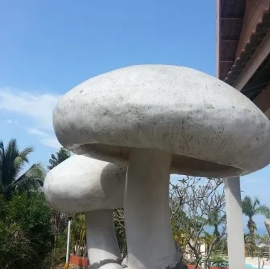White Pset Statue
