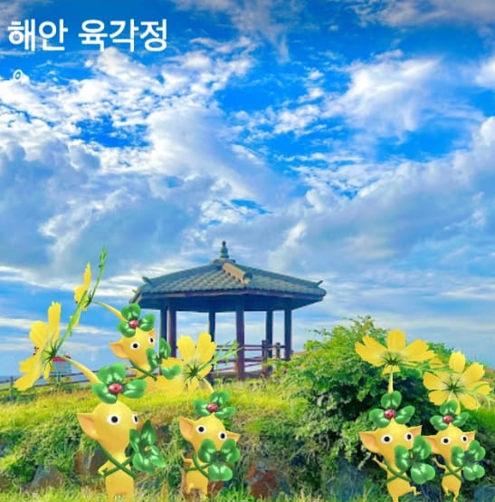 해안 육각정