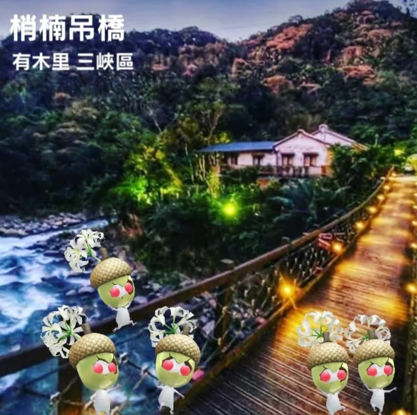 梢楠吊橋
