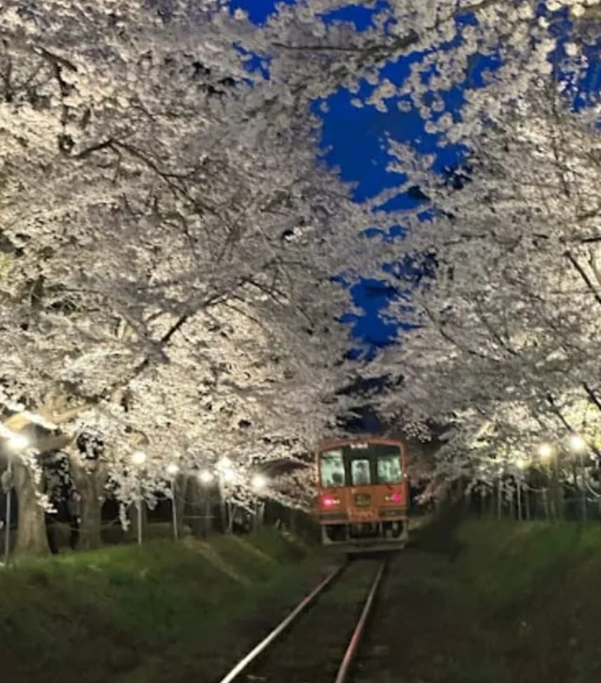 芦野公園駅