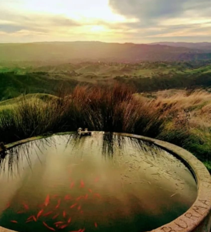 Goldfish Pond