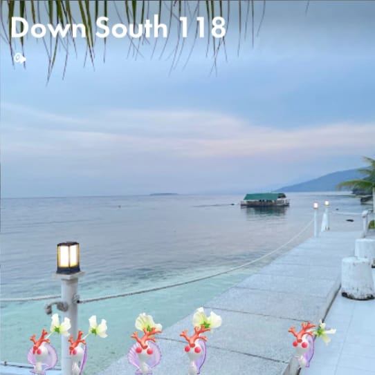 Down South 118
