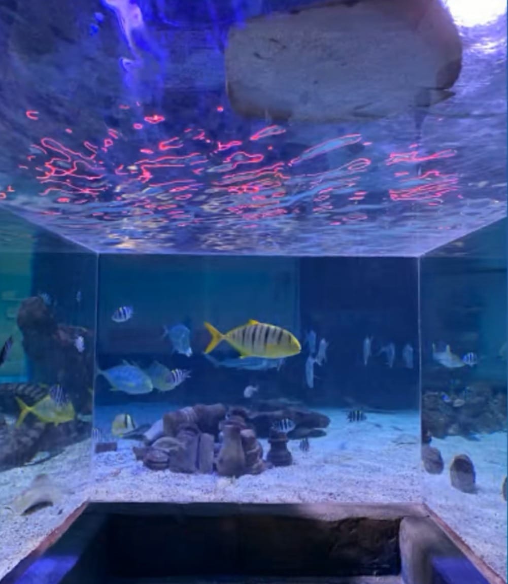 SeaQuest Tunnel