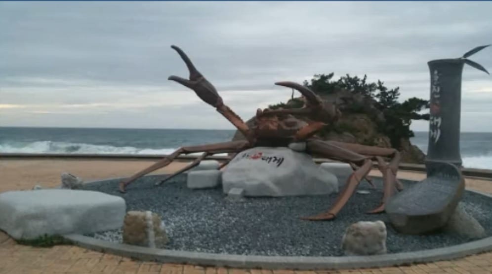 울진대게
