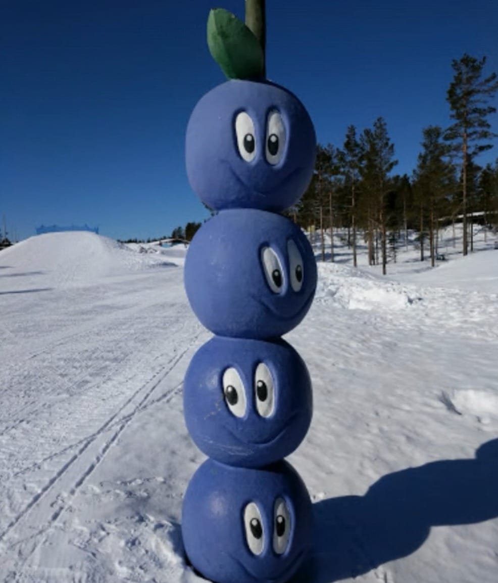 Blueberries