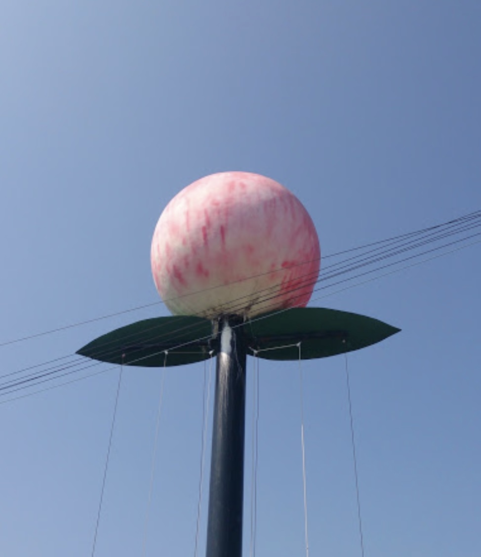 あら川の桃