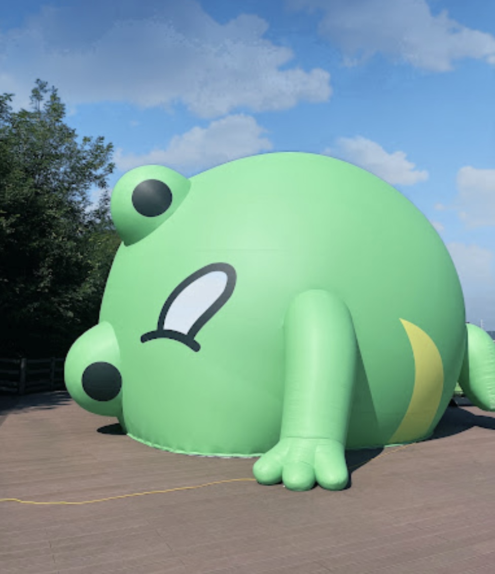 달꽁이