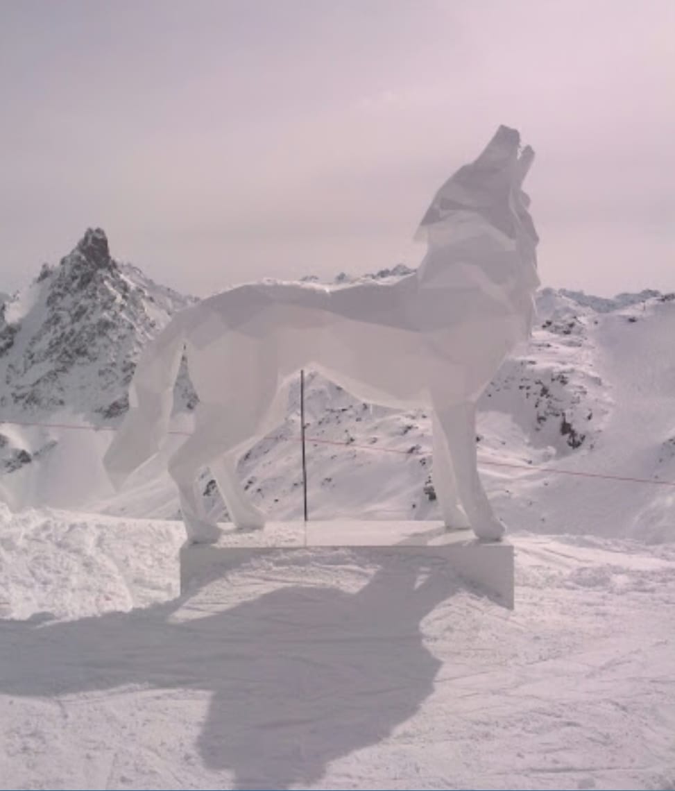 Loup Des Neiges