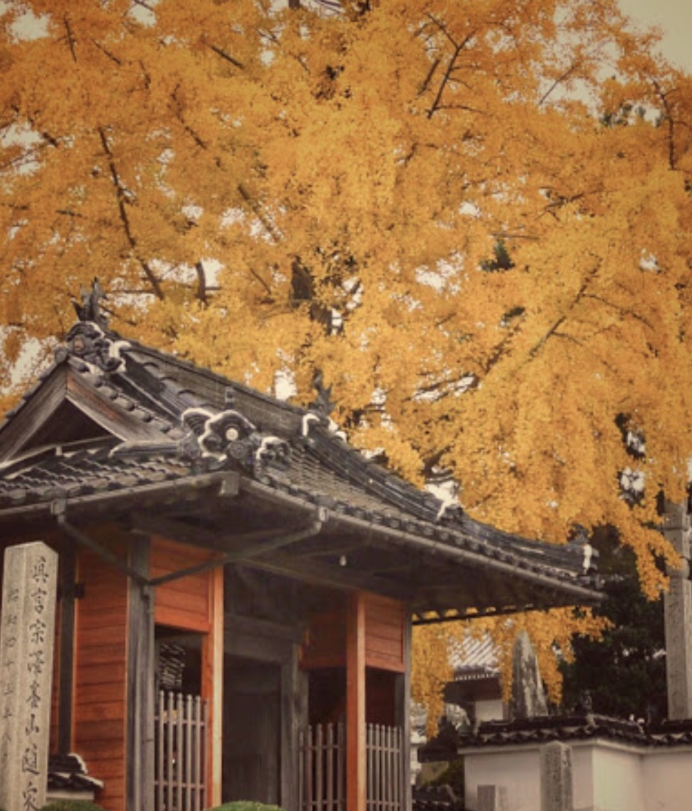 随泉寺