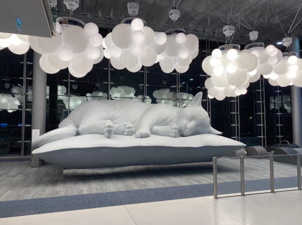 Terminal 2E Sleeping Cat