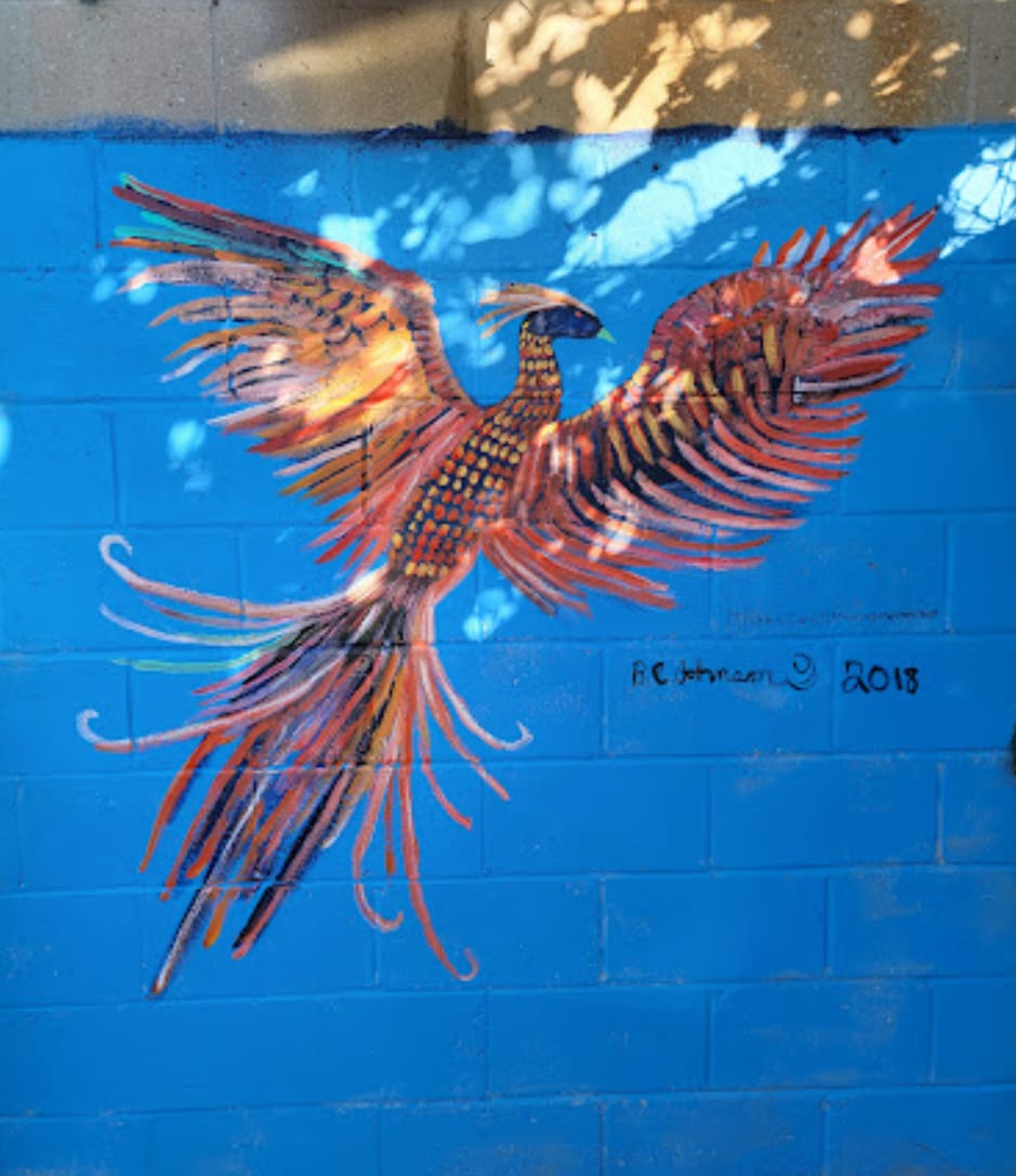 Phoenix Rising