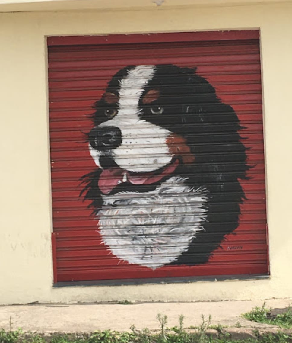 Grafite Cachorro