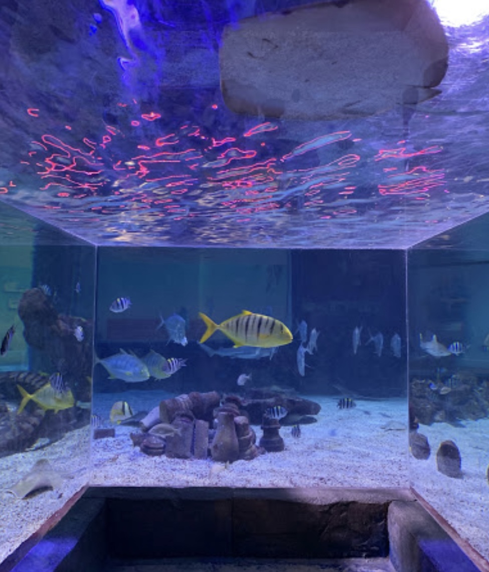 SeaQuest Tunnel