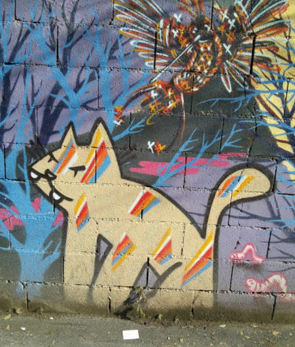 Cat on the Wall