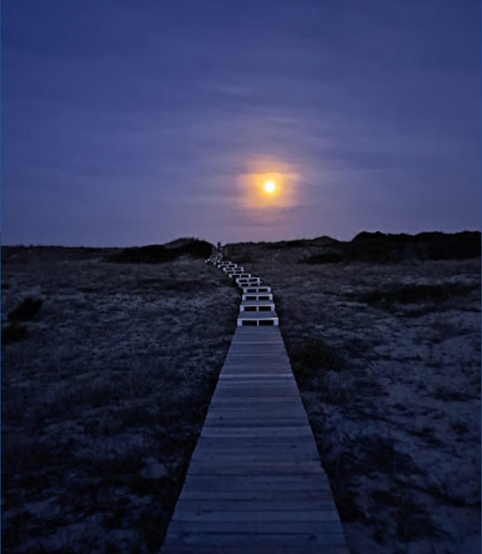 The Farrow Community Beach Footbridge