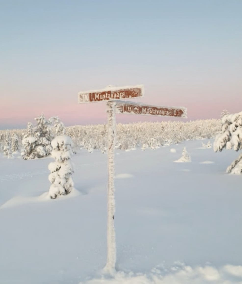 Mustavaara