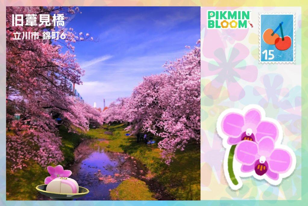 舊葦見橋