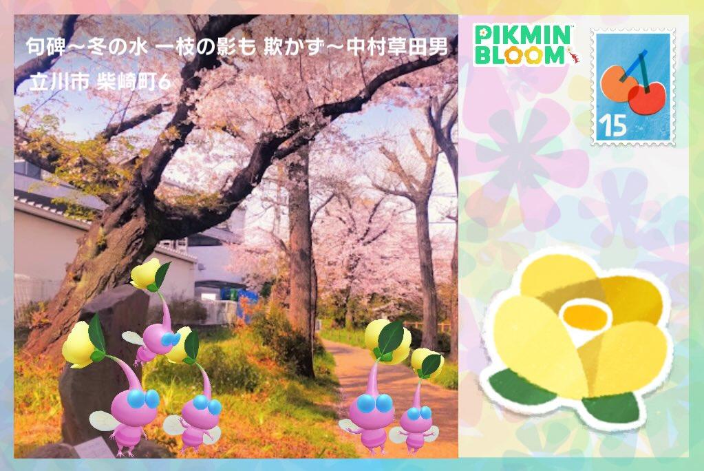 句碑