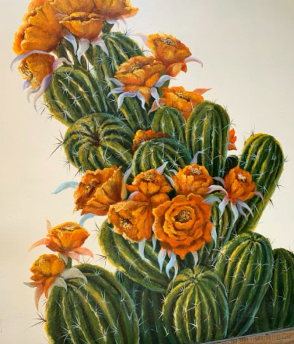 Hoa xương rồng