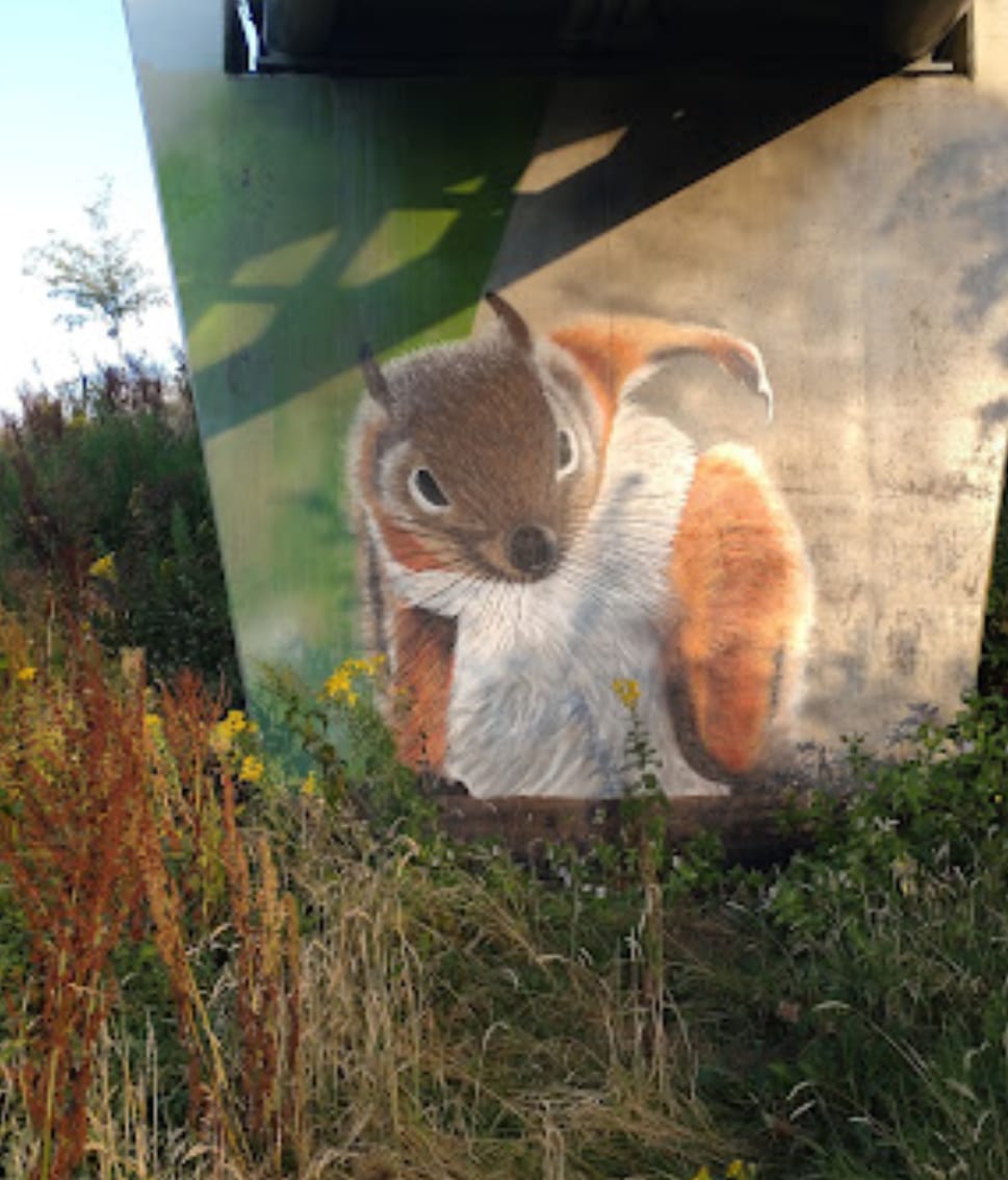 Superhero Squirrel