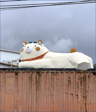 貨櫃上的貓