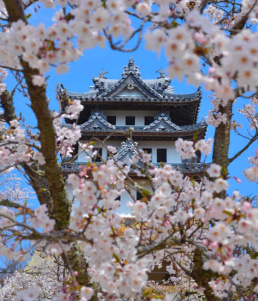 洲本城跡