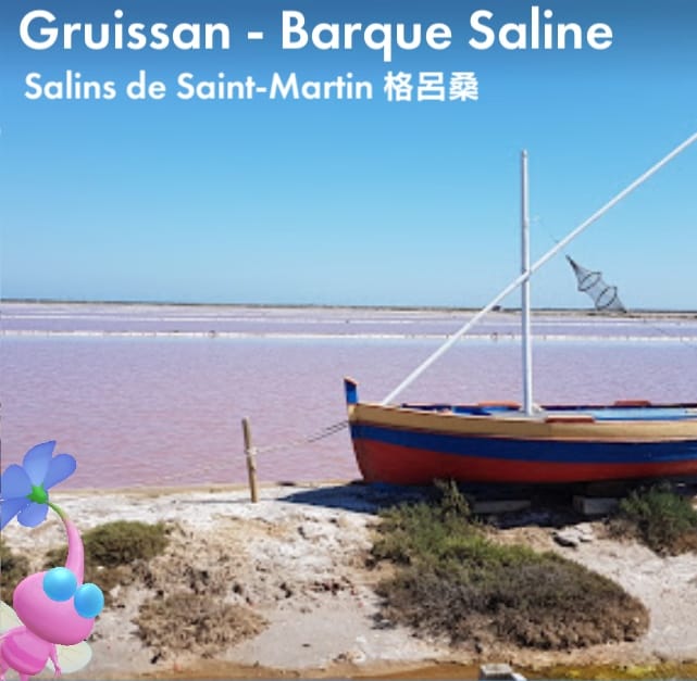 Gruissan - Barque Saline
