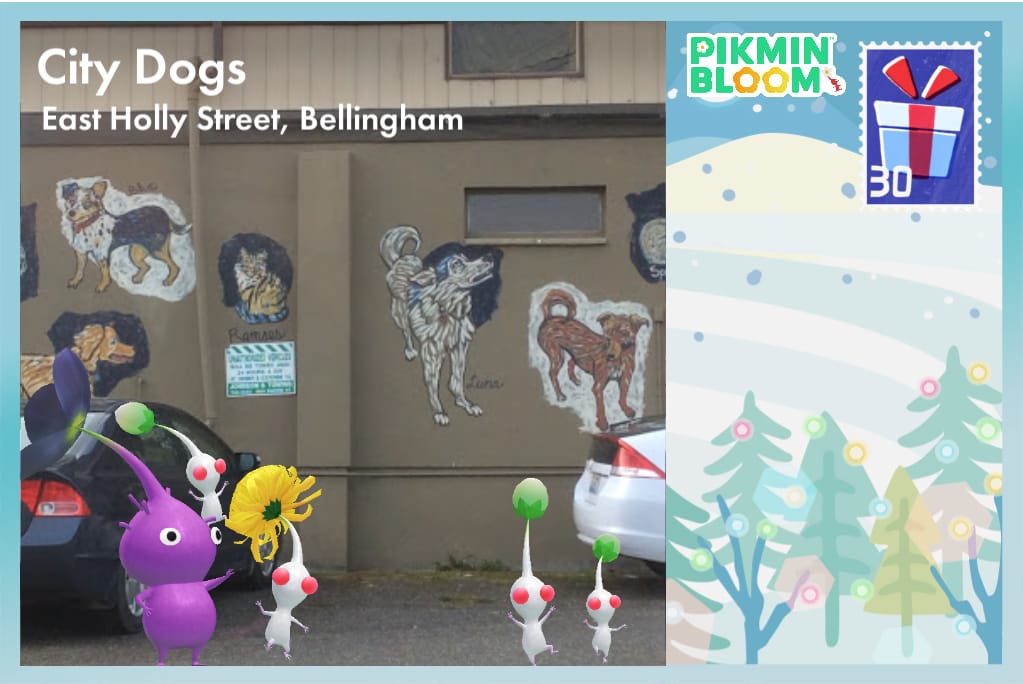 City Dogs