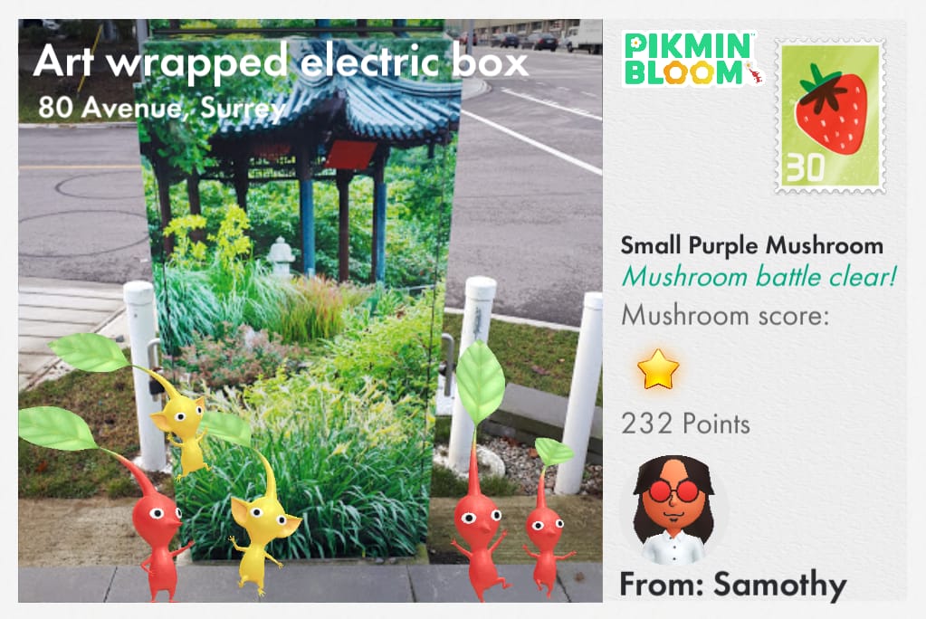Art wrapped electric box