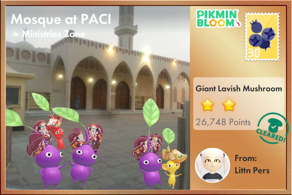 Mosque at PACI